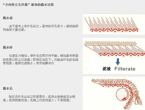 方向性立毛纤维滤带